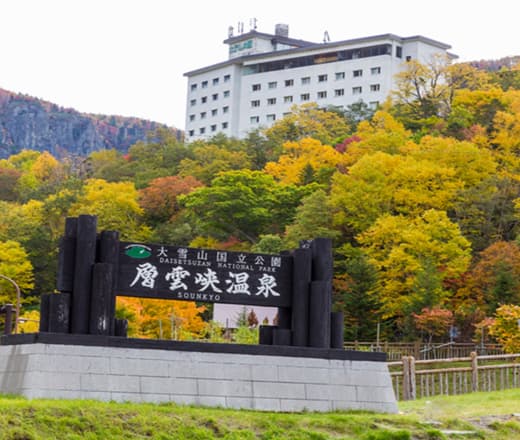 ホテル大雪　ＯＮＳＥＮ＆ＣＡＮＹＯＮ　ＲＥＳＯＲＴ